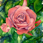 Pink Rose